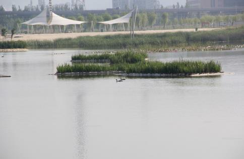 墨子湿地墨子湖