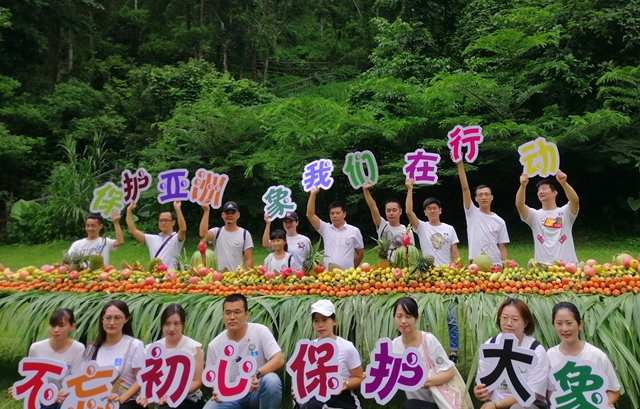 云南西双版纳举行“世界大象日”公益活动